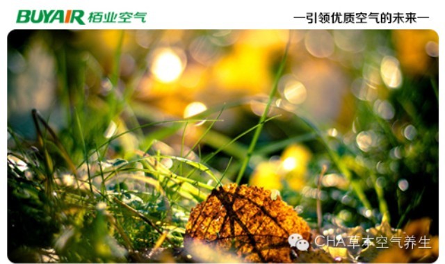 步入秋天，空氣凈化器不可或缺