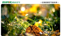 步入秋天，空氣凈化器不可或缺